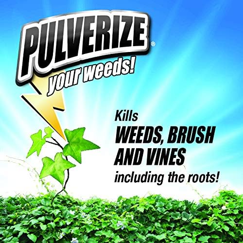 PWBV-B-128-S, Brush & Vine Ready to Use Weed Killer, Clear