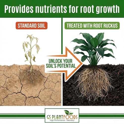 GS Plant Foods Root Ruckus Compost Fertilizer Organic Plant Food - Turbo Charged Compost for Plants - Humic Acid & Sea Kelp Nutritional Root Supplement for Lawns, Soil, Shrubs & Vegetables - 1 Gallon