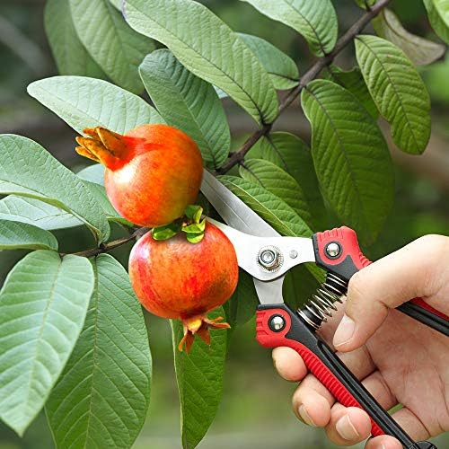 WYF Pruning Scissors, Professional Garden Shears - Straight Stainless Steel Blades - Sharp Gardening Hand Pruner for Garden Harvesting Fruits