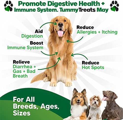 Probiotics for Dogs Digestive Health - Dog Probiotics and Digestive Enzymes - Allergy Relief for Dogs - Probiotic for Dogs Gut Health - Puppy Probiotic Tummy Treats - 120 Dog Probiotic Chews | Gut Health, Allergy and Immune, 4B CFU, 5 Strains, Chicken Fl…