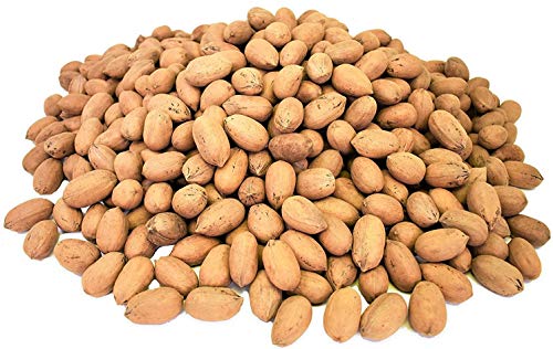 Anna and Sarah Premium Georgian Raw Fresh Pecans in Shell (4.5 Lbs in Bag)