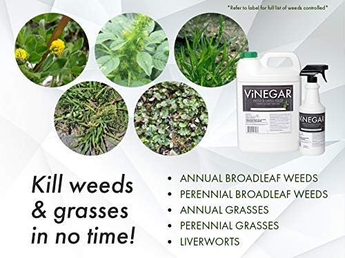 578 Vinegar Weed & Grass Killer Approved for Organic Production Pet Safe Glyphosate Free Herbicide, Gallon 1, Yellow