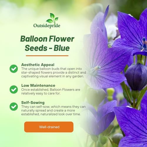 Outsidepride Blue Balloon Flower Seeds for Planting – 1000 Pcs Perennial, Drought-Tolerant, Easy to Grow, Low Maintenance, Pollinator-Friendly, Star-Shaped Blooms for Outdoor Gardens and Borders