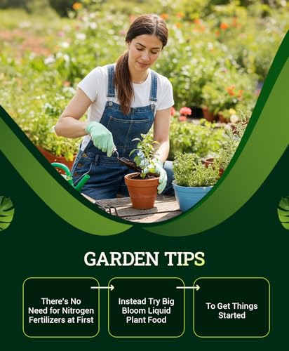 FoxFarm Ocean Forest Potting Soil for Container Gardens - Light, Aerated Texture with Fish Meal, Crab Meal, Earthworm Castings - Houseplant Potting Mix for Seedlings & Plant Starts - 4 x12 Quart