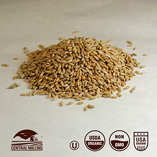100% Organic Hard Red Spring Wheat Berries- 25 lbs