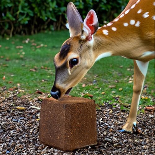 Deer Feed Block, 25 lbs.