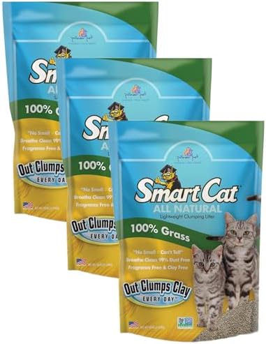 SmartCat All Natural Clumping Cat Litter, 10 Pound (160oz 1 Pack) - Alternative to Clay and Pellet Litter - Chemical and 99% Dust Free - Unscented and Lightweight