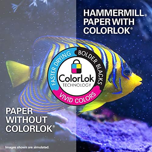 Hammermill Printer Paper, Premium Inkjet & Laser Paper 24 Lb, 8.5 x 11-1 Ream (500 Sheets) - 97 Bright, Made in the USA, 166140R