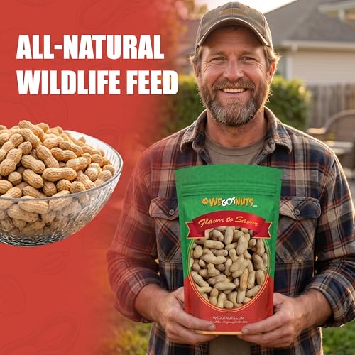 Raw Red skin Peanuts, USA Grown, (Unsalted) 5LB Bag Bulk (80oz) - We Got Nuts