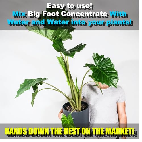 Big Foot Mycorrhizae for Plants, Potted Plants and Gardens - Concentrate Fully Dissolves in Water, Year Round Organic Fertilizer for Root Growth and Healthy Soil - 32 Ounces of Mycorrhizal Inoculant