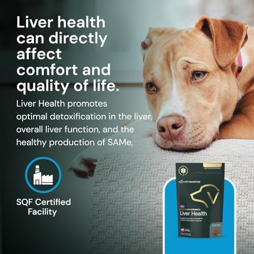 VetriScience Veterinary Strength Liver Health Chews - Canine Liver Care Supplement for Detox Support - Dog Supplement - Supports Immune System - No