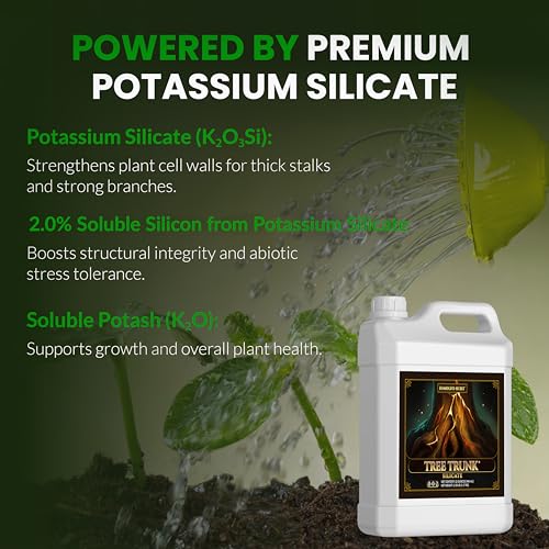 Humboldts Secret Tree Trunk | Potassium Silicate Additive | Liquid Fertilizer for Thicker Stalks, Stress Resistance & Branch Development | Indoor & Outdoor Plant Food, Hydroponic Nutrients, 32 Ounce