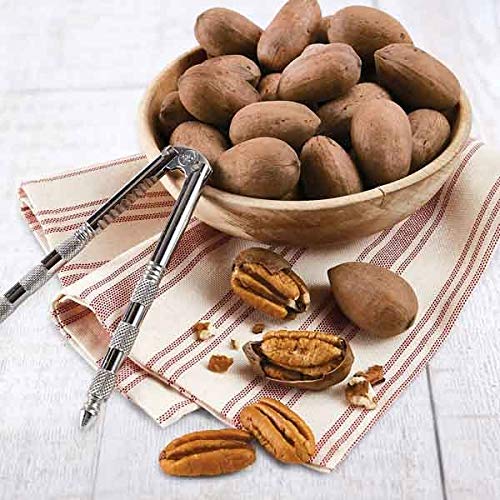 Anna and Sarah Premium Georgian Raw Fresh Pecans in Shell (4.5 Lbs in Bag)