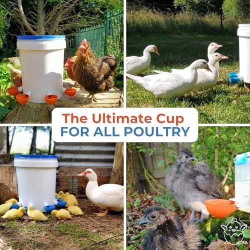Lil'Clucker Large Automatic Chicken Waterer Cups | Chicken Water Feeder Suitable for Chicks, Duck, Goose