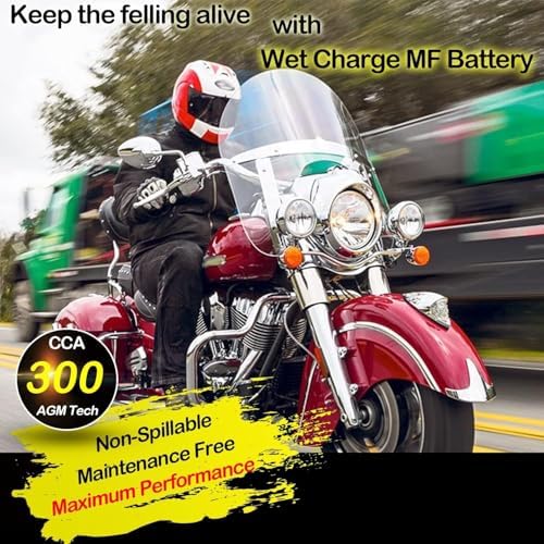 Weize YTX20HL-BS Battery, High Performance - Maintenance Free - Sealed AGM ETX20HL BS Motorcycle Battery