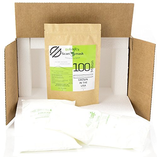 BioLogic's Scanmask Beneficial Nematodes, Steinernema feltiae Sf Nematodes for Natural Insect Pest Control (100 Million with Applicator)