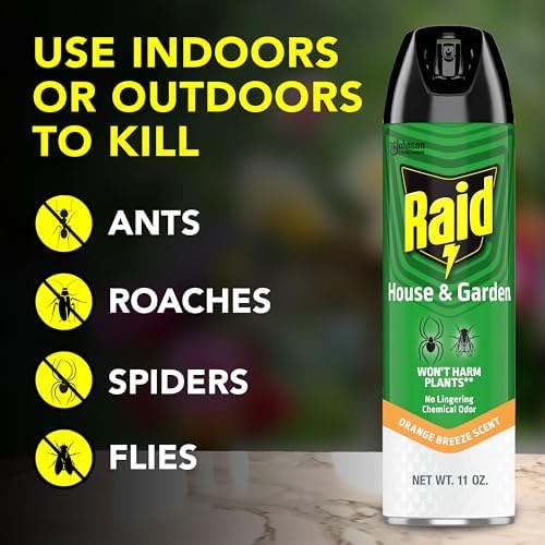 Raid House and Garden Insect Killer Spray, for Indoor and Outdoor Use, Won't Harm Plants, Insect Spray, Orange Breeze Scent, 11 oz