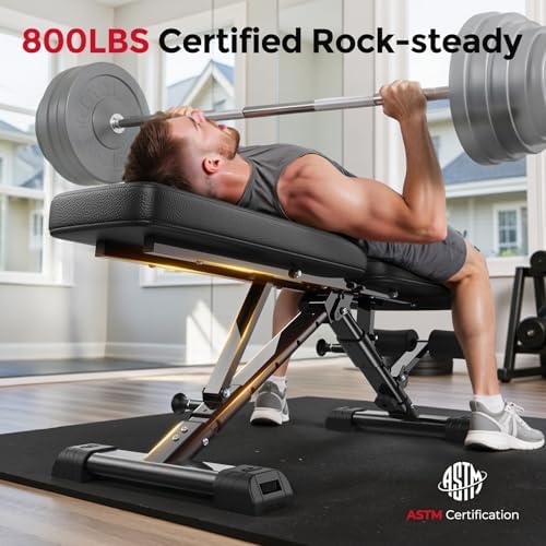FLYBIRD WB5 Weight Bench, ASTM-Certified 800LBS Adjustable Weight Bench Workout Bench Foldable for Home Gym