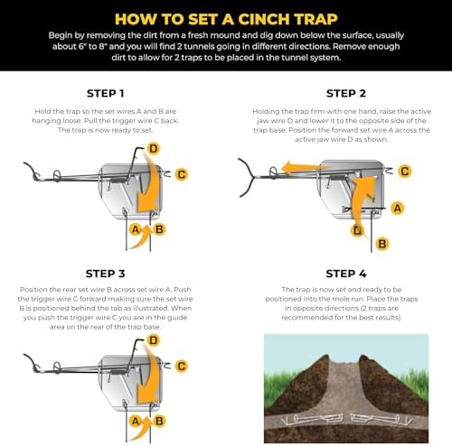 Cinch Traps Mole Trap Kit: Two Traps With Mole Tunnel Flags And Instructions - By - Made In America