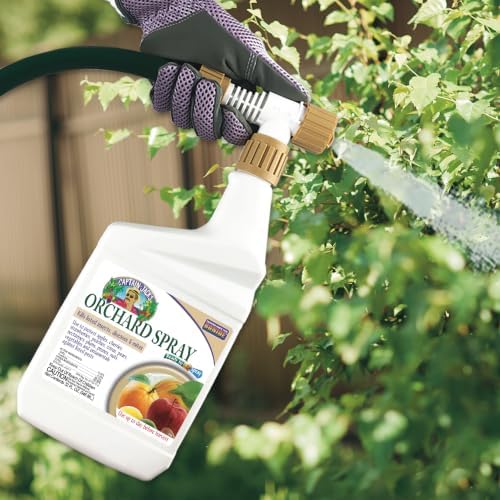 Bonide Captain Jack's Citrus, Fruit & Nut Orchard Spray, 32 oz | Ready-to-Spray, Multi-Purpose Fungicide, Insecticide, and Miticide