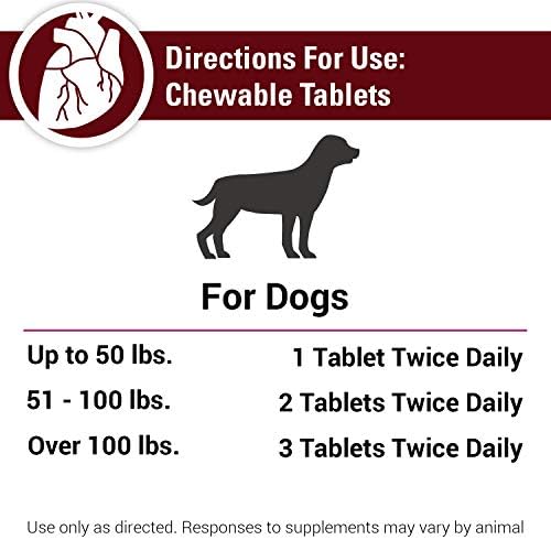 Blood & Energy Dog Supplement – Pet Health Supplement for Dogs – Supports Canine Endurance – Includes Spirulina, Yellow Dock