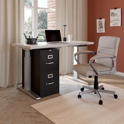 Staples 2-Drawer Vertical File Cabinet, Letter Size Documents, Lockable, 22" D x 15" W x 28.38" H, Black