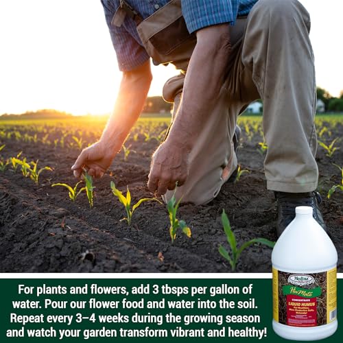 Medina Humate Humic Acid for Plants, 1 Gal, Concentrated Liquid Compost | Humic Acid for Lawn, Enhance Plant Growth, Moisture Retention, Nutrient Absorption, Humates for Soil, Covers 8000 Sq. Ft.