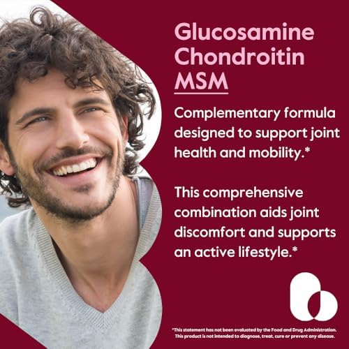 BESTVITE Glucosamine Chondroitin MSM 500/400/100 per Capsule (240 Caps)