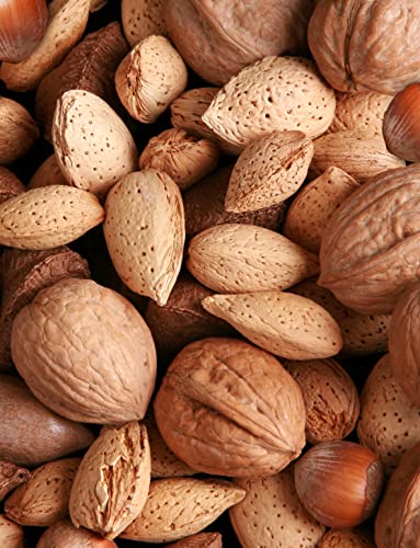 Anna and Sarah Premium Mixed Nuts in Shell, 4 Pound Bag, California Jumbo Chandler Walnuts, Georgia Extra Large Pecans, California Almonds