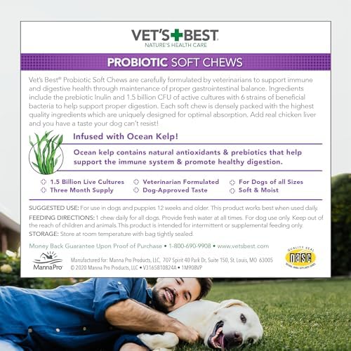 Vet's Best Probiotic Soft Chews for Dogs, Digestive Aid, 30 Day Supply | Probiotic Soft Chews, Supports Digestive Health & Healthy Gut Flora, Daily Supplement for Dogs, 30 Day Supply