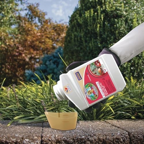 Bonide Captain Jack's Deadbug Brew, 32 oz Concentrate Outdoor Insecticide and Mite Killer for Organic Gardening | Outdoor Insecticide and Mite Killer, For Organic Gardening