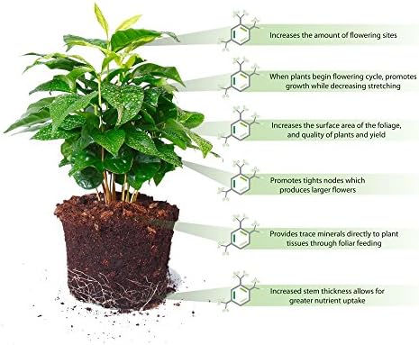 Organic Fertilizer Humic Acid with Potassium Based Super Absorbent Polymer for Lawn and Garden, Soil Vigor ™ 5 Pounds Bag (1)