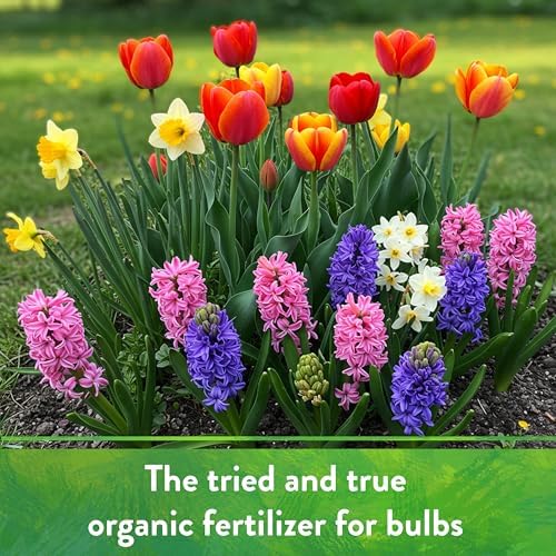 Down To Earth All Natural Fertilizers Organic Bone Meal - 3-15-0, 25 lb | High Phosphorus Plant Food for Buds, Bulbs, Blooms, Flowers, Onions, Garlic