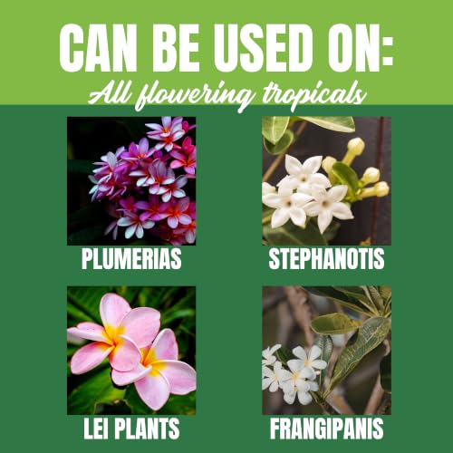 Nelson Plumeria Plant and All Flowering Tropicals Food Ferns Orchids Lilys In Ground Container Patio Grown Granular Fertilizer NutriStar 5-30-5 (4 lb)