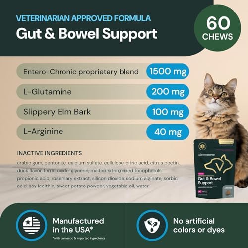 VETRISCIENCE Veterinary Strength Gut & Bowel Support for Dogs & Cats - Pet Digestive Health Supplement - Gut Health Formula - Intestinal Support