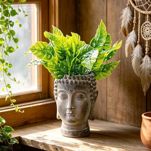 Newman House Studio Face Cactus Succulents Planter Pot - Indoor Outdoor Planter with Drainage Hole Garden Statues Cute Plants Pot Flower Pot