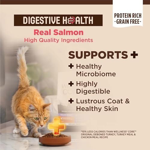 Wellness CORE+ Adult Dry Cat Food, Natural, Wholesome Grains Kibble, Digestive Health Chicken and Rice Recipe, 5 lb Bag