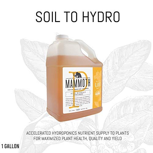 Mammoth Organic Bloom Booster | Mammoth P Organic Fertilizer Microbial Inoculant | 16% Proven Increase in Yield (250 ml)