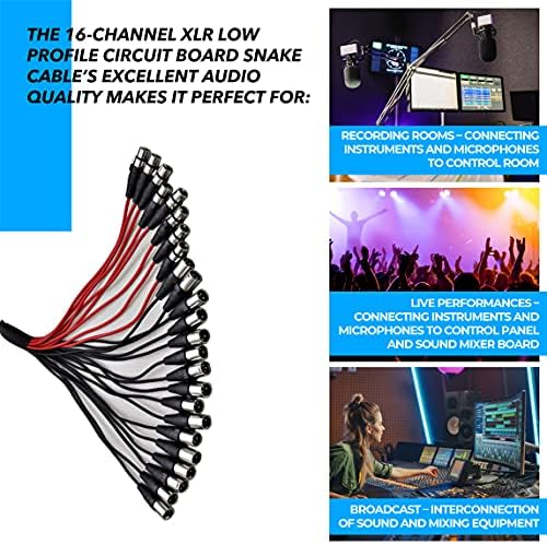 Seismic Audio Speakers 16 Channel Low Profile XLR Send Circuit Board Snake Cable, XLR Splitter Cable, 100 Feet