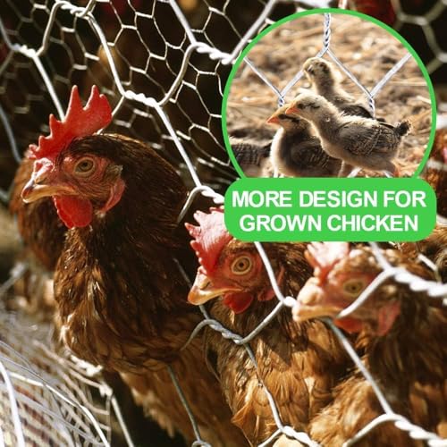 Amagabeli Chicken Wire Fencing Poultry Wire Netting 36inch x 50ft 2 Inch Hexagonal Galvanized Mesh Garden Fence Animal Barrier for Garden Protection Craft Rabbit Cage Dog Roll Chicken Coop Accessories