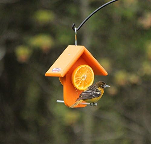 Recycled Single Oriole Orange Fruit Feeder