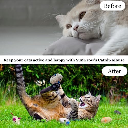 SunGrow Cat Catnip Mice Toys, Furry Plush for Hunting and Pouncing Instinct, 2”, Interactive, Encourages Agility, Coordination, Fun for Hours