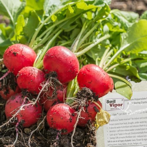 Organic Fertilizer Humic Acid with Potassium Based Super Absorbent Polymer for Lawn and Garden, Soil Vigor ™ 5 Pounds Bag (1)