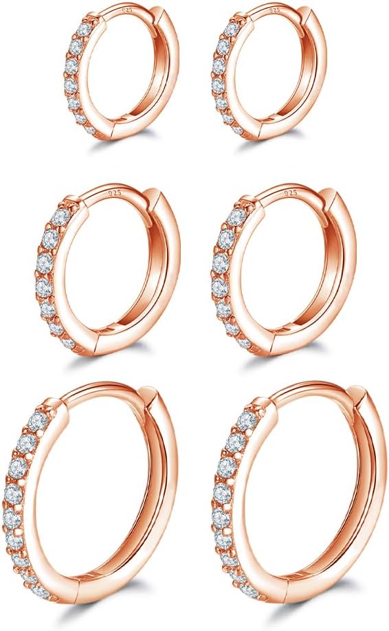 Dlihc 6 Pairs Sterling Silver Hoop and Stud Earrings Set for Women Men