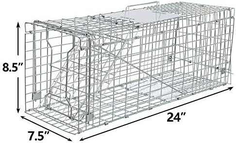 ANT MARCH Live Animal Cage Trap 24" Steel Humane Release Rodent Cage