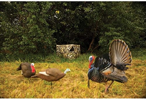 Primos Hunting Double Bull Stakeout Blind with SurroundView