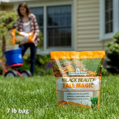 Jonathan Green (10765) Black Beauty Fall Magic Grass Seed - Cool Season Lawn Seed (3 lb)