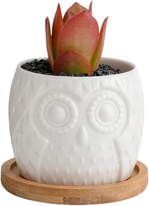 Cuteforyou Succulent Pots,Cute Animal Shaped Cartoon Ceramic Succulent Cactus Flower Planters -Plant Not Included，Cat
