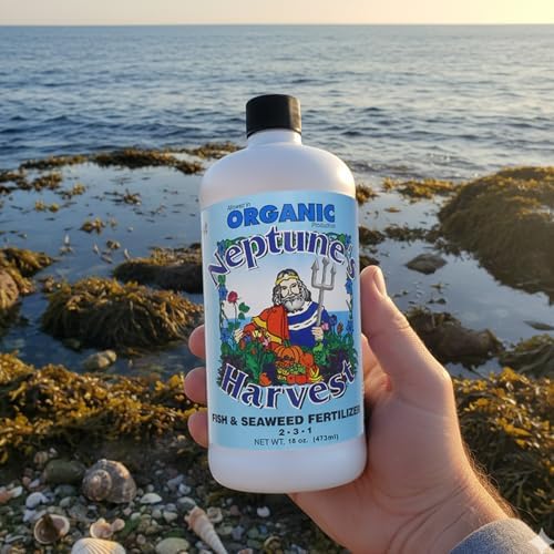 Neptune's Harvest Fish & Seaweed Liquid Fertilizer (2-3-1) - 1 Gallon Bottle - Plant Food for Garden - Indoor & Outdoor Organic Plant Fertilizer for Vegetables, Flowers, Fruit, and Lawns