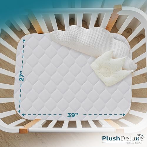 PlushDeluxe Bamboo Waterproof Mattress Protector, Queen Size, Ultra Soft